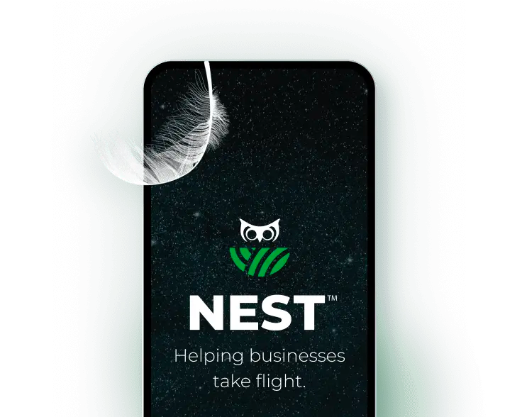 Web Design + Development