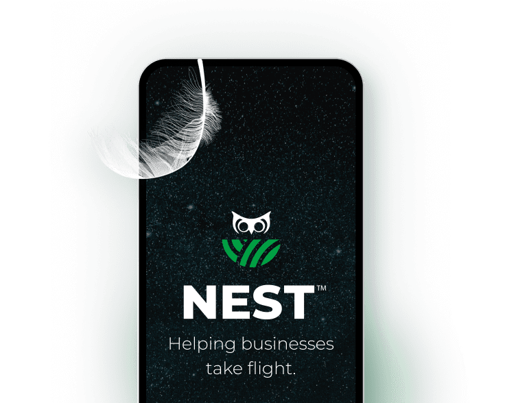 Web Design + Development