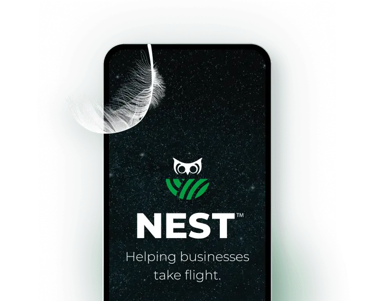 Web Design + Development